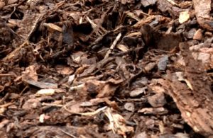 Mulch