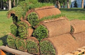 Turf folded in rolls on a pile