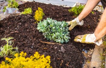 Installing weed control fabric material and bark mulch in a residential garden to control weed spreading